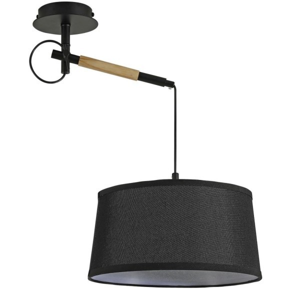 Настенно-потолочный светильник Eureka 3006-1P Настенно-потолочный светильник Eureka 3006-1P