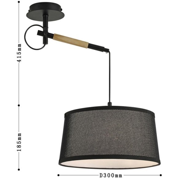 Настенно-потолочный светильник Eureka 3006-1P Настенно-потолочный светильник Eureka 3006-1P