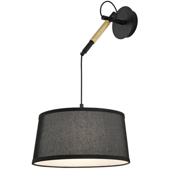 Настенно-потолочный светильник Eureka 3006-1P Настенно-потолочный светильник Eureka 3006-1P