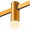 ST812.246.03 Магнитный трековый светильник золотистый LED 3W 4000K 93Lm Ra90 120° FARM