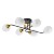 Потолочная люстра Arte Lamp ANDREA A8141PL-6BK