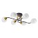 Потолочная люстра Arte Lamp ANDREA A8141PL-6BK