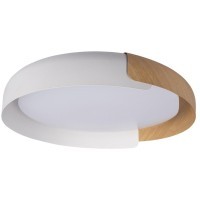 10198 White Потолочный светильник LOFT IT Coin