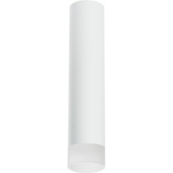 Накладной потолочный светильник Lightstar R49631 RULLO под лампу 1xGU10 50W