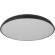 10371 Black Потолочный светильник LOFT IT Dime