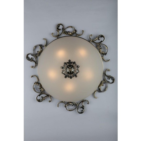 Потолочный светильник Ragusa OML-76507-05