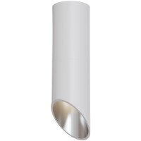 Потолочный светильник Technical C025CL-01W