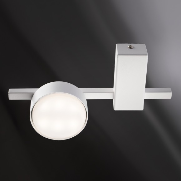 Потолочный светильник Freya FR5363CL-01W Потолочный светильник Freya FR5363CL-01W