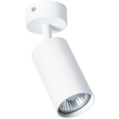 Накладной потолочный светильник Arte Lamp A3216PL-1WH AQUARIUS под лампу 1xGU10 35W Накладной потолочный светильник Arte Lamp A3216PL-1WH AQUARIUS под лампу 1xGU10 35W