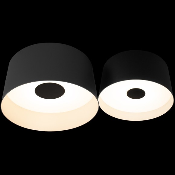 10360/2 Потолочный светильник LOFT IT Duo