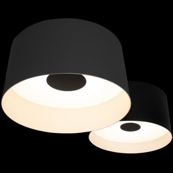 10360/2 Потолочный светильник LOFT IT Duo