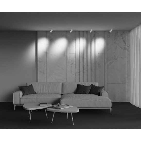 Трековый светильник Technical TR212-4-12WTW-Z-DSZ-W Трековый светильник Technical TR212-4-12WTW-Z-DSZ-W