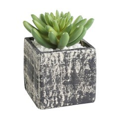 428007 Искусственное растение в горшке CHITOSE, L75, B75, H120, пластик, серый 428007 Искусственное растение в горшке CHITOSE, L75, B75, H120, пластик, серый