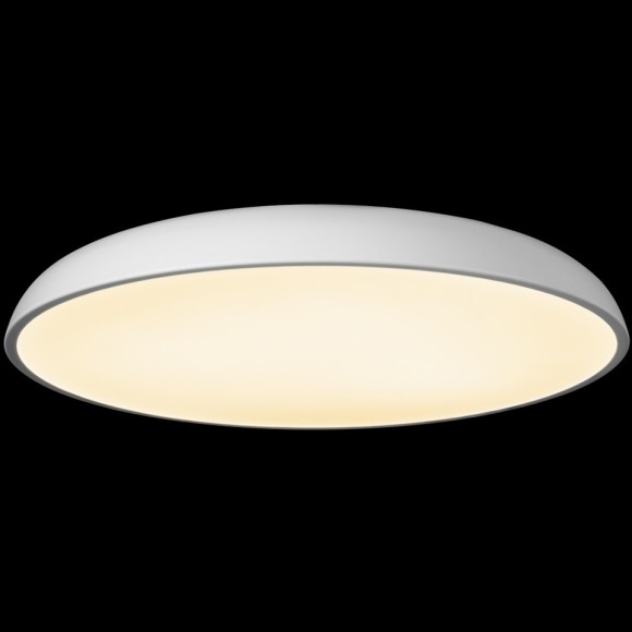 10371 White Потолочный светильник LOFT IT Dime