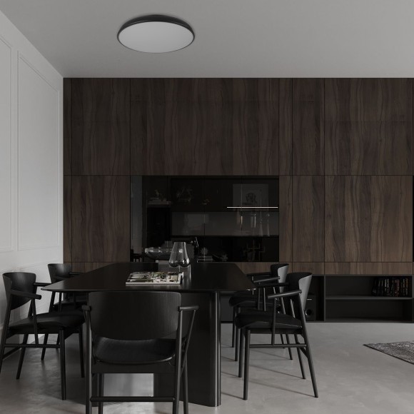 10371 White Потолочный светильник LOFT IT Dime