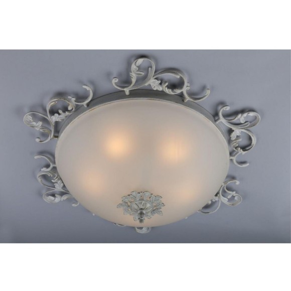 Потолочный светильник Ragusa OML-76517-05