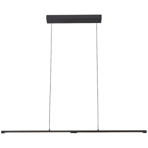 SL1580.403.01 Светильник подвесной ST-Luce Черный/Белый LED 1*22W 3200K RALIO