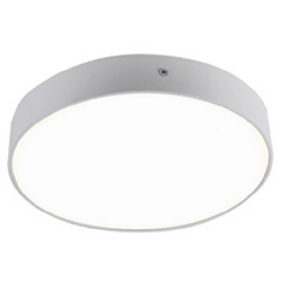 2065-30C, потолочный светильник, D225xH40, LEDx30W, AC:100-240V, IP21, 2550LM, 4000K, included