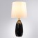 Декоративная настольная лампа Arte Lamp RUKBAT A5046LT-1BK