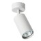 Накладной потолочный светильник Arte Lamp A3216PL-1GY AQUARIUS под лампу 1xGU10 35W