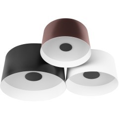 10360/3 Потолочный светильник LOFT IT Duo