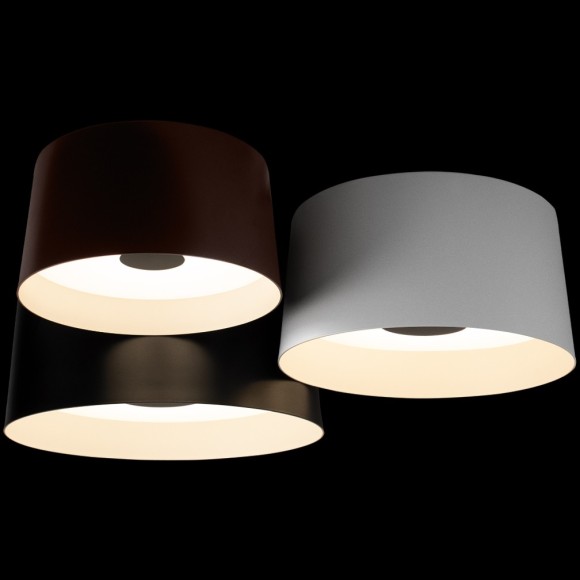 10360/3 Потолочный светильник LOFT IT Duo