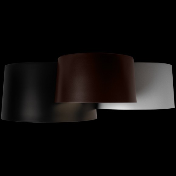 10360/3 Потолочный светильник LOFT IT Duo