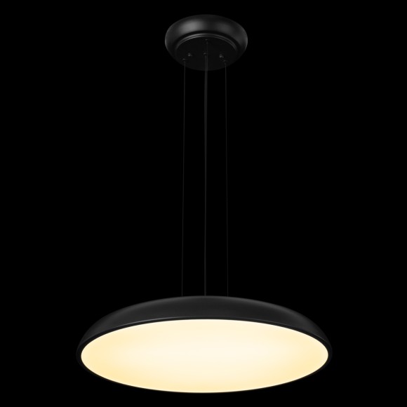 10371P Black Подвесной светильник LOFT IT Dime