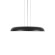 10371P Black Подвесной светильник LOFT IT Dime