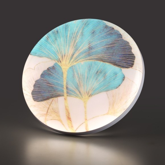 7747/DL PALE SN Светильник светодиодный потолочный пластик/белый/мульти LED 48Вт 3000-6000К D380 IP43 пульт ДУ FLOREN 7747/DL PALE SN Светильник светодиодный потолочный пластик/белый/мульти LED 48Вт 3000-6000К D380 IP43 пульт ДУ FLOREN