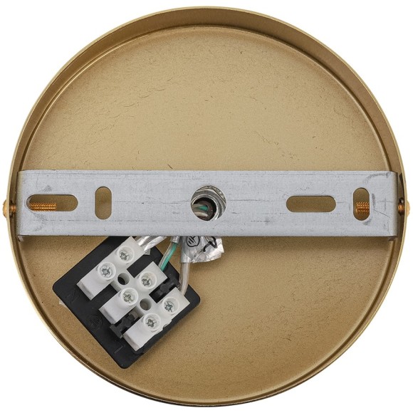 8334/6 Люстра Lumion MODERNI E27 240W 220V ALEGRA