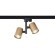 Cветильник однофазный Crystal Lux CLT 0.31 001 60C2 BL-GO