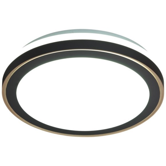 7620/DLN PALE SN 109 Светильник пластик/черный/медный LED 48Вт 3000/4000/6000K D390 IP43 CCT AKUNA 7620/DLN PALE SN 109 Светильник пластик/черный/медный LED 48Вт 3000/4000/6000K D390 IP43 CCT AKUNA