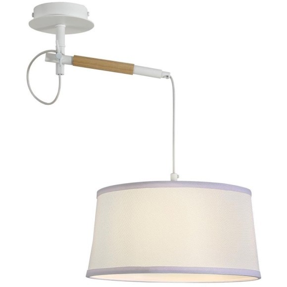 Настенно-потолочный светильник Eureka 3005-1P Настенно-потолочный светильник Eureka 3005-1P