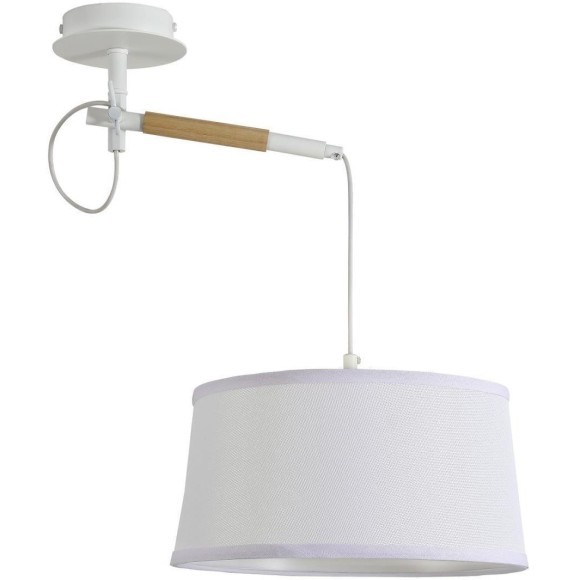 Настенно-потолочный светильник Eureka 3005-1P Настенно-потолочный светильник Eureka 3005-1P