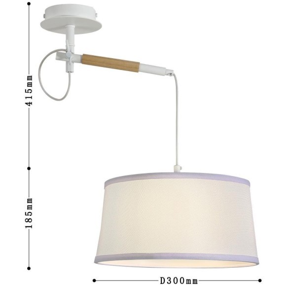 Настенно-потолочный светильник Eureka 3005-1P Настенно-потолочный светильник Eureka 3005-1P
