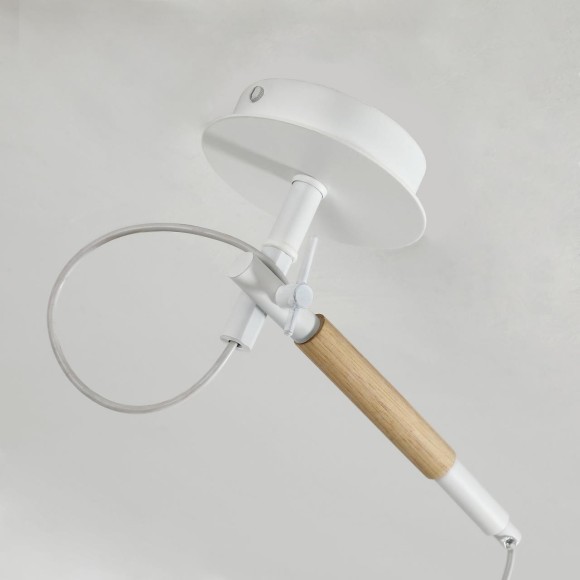 Настенно-потолочный светильник Eureka 3005-1P Настенно-потолочный светильник Eureka 3005-1P