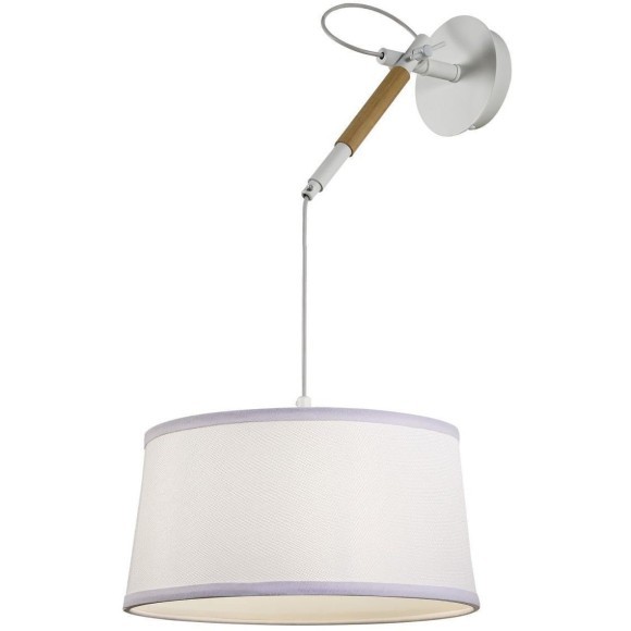 Настенно-потолочный светильник Eureka 3005-1P Настенно-потолочный светильник Eureka 3005-1P