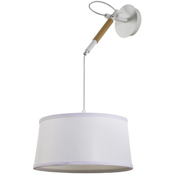 Настенно-потолочный светильник Eureka 3005-1P Настенно-потолочный светильник Eureka 3005-1P