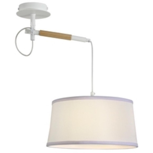 Настенно-потолочный светильник Eureka 3005-1P Настенно-потолочный светильник Eureka 3005-1P