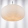 Подвесной светильник с 1 плафоном Lightstar 805013 Arnia под лампу 1xE27 40W