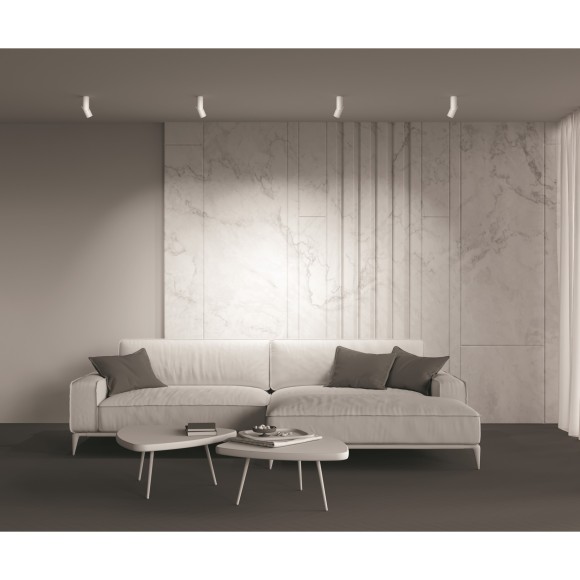 Накладной потолочный светильник Maytoni C027CL-L10W Dafne светодиодный LED 10W