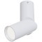 Накладной потолочный светильник Maytoni C027CL-L10W Dafne светодиодный LED 10W