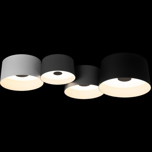 10360/4 Потолочный светильник LOFT IT Duo