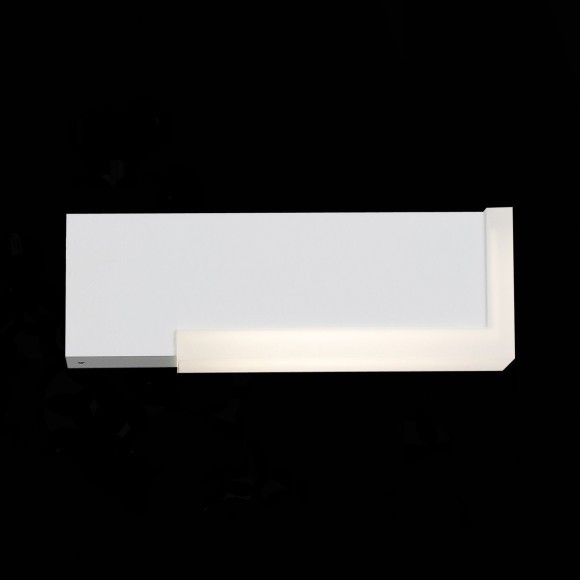 Уличный настенный светодиодный светильник ST Luce Posto SL096.501.02