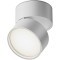 Потолочный светильник Technical C024CL-L12W4K