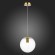 SL1056.213.01 Подвес ST-Luce Золотой/Прозрачный E27 1*60W NOOR