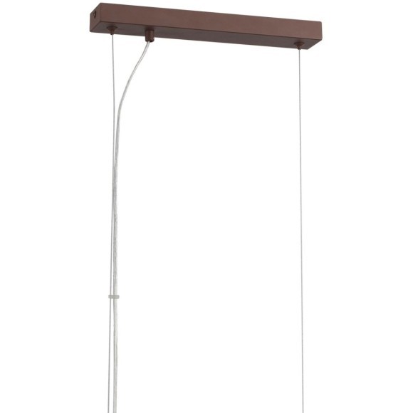 Подвесной светильник Е14 Lumion DANA 8005/4A