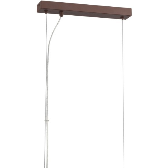 Подвесной светильник Е14 Lumion DANA 8005/4A