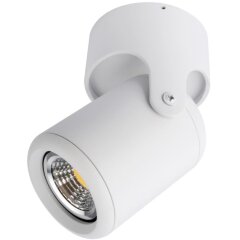 Накладной потолочный светильник Arte Lamp A3316PL-1WH LIBRA под лампу 1xGU10 50W Накладной потолочный светильник Arte Lamp A3316PL-1WH LIBRA под лампу 1xGU10 50W